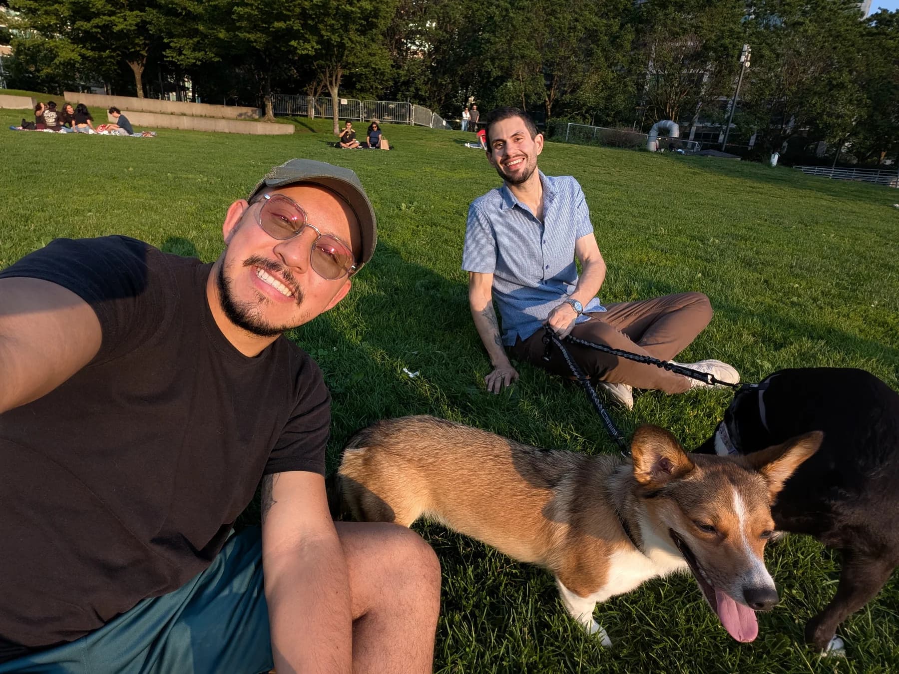 Dog parents and dogs spending time together at a Long Island City park.